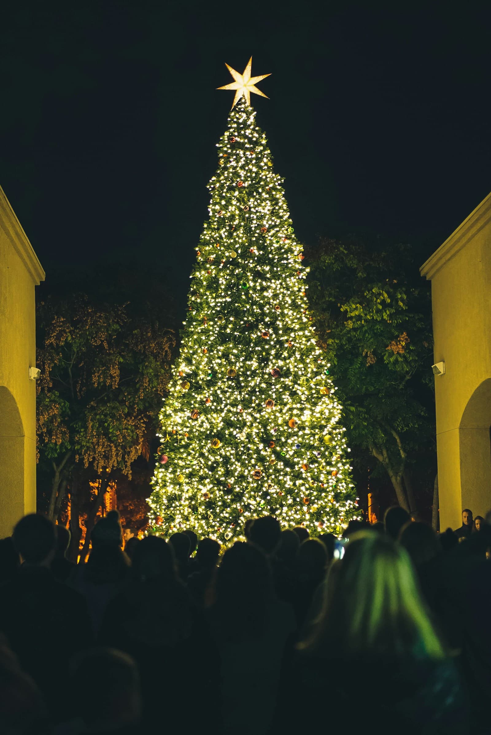 A crowd gathered around a brightly lit outdoor Christmas tree at night